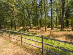Grants Pass Land For Sale